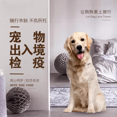 白沙县宠物托运到哥伦比亚猫狗宠物入境规定和