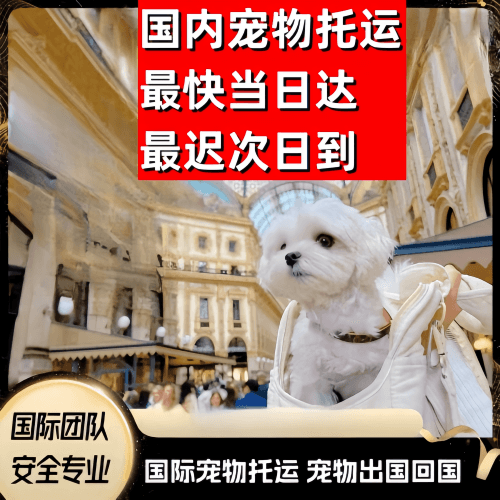 白沙县到澳大利亚（澳洲）宠物入境规定和要求
