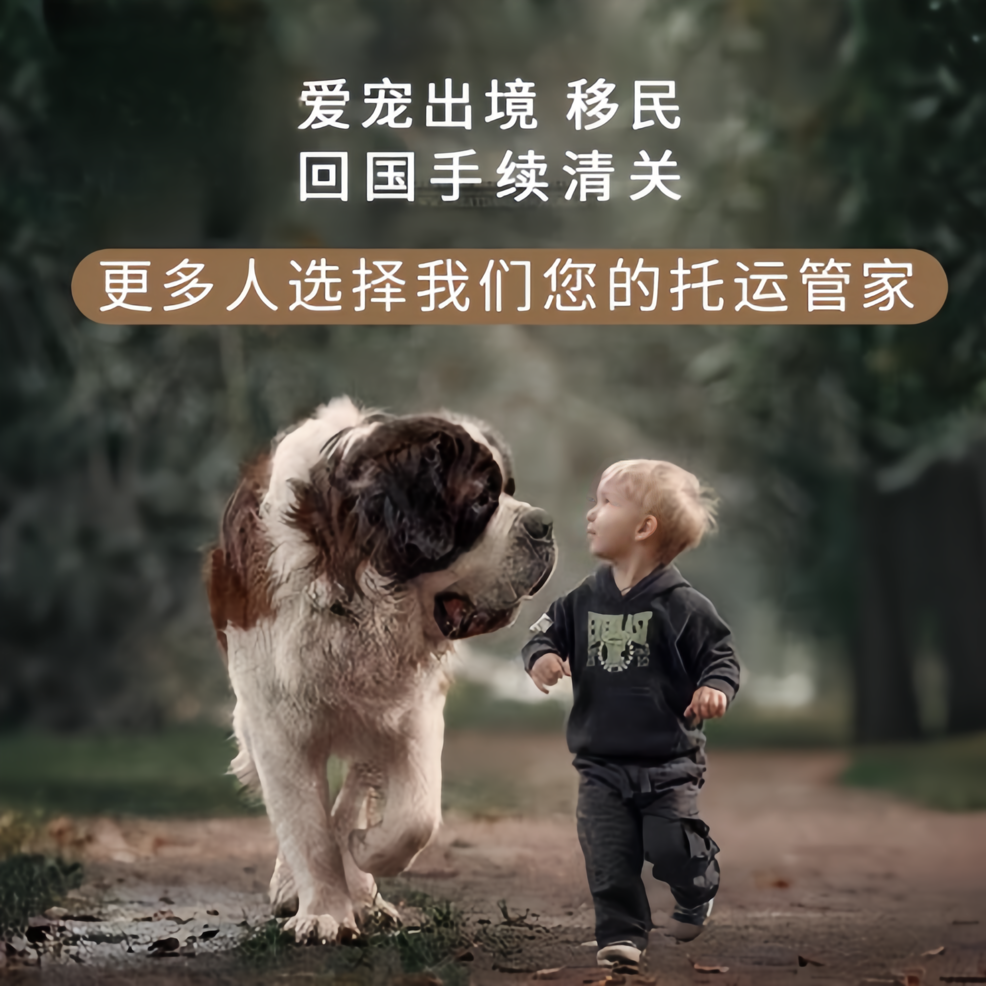 满财白沙县宠物全球达宠物托运在遵守入境目的地政策的条件