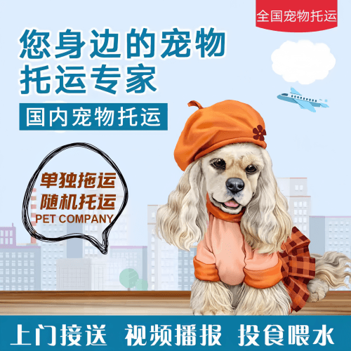 满财白沙县宠物全球达宠物托运作为专业的宠物运输代理机构